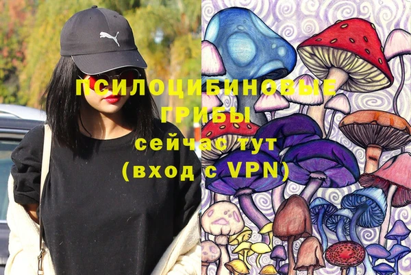 ГАЛЛЮЦИНОГЕННЫЕ ГРИБЫ Михайловск