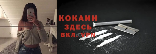 ГАЛЛЮЦИНОГЕННЫЕ ГРИБЫ Михайловск
