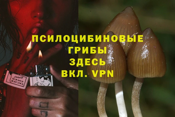 ГАЛЛЮЦИНОГЕННЫЕ ГРИБЫ Михайловск