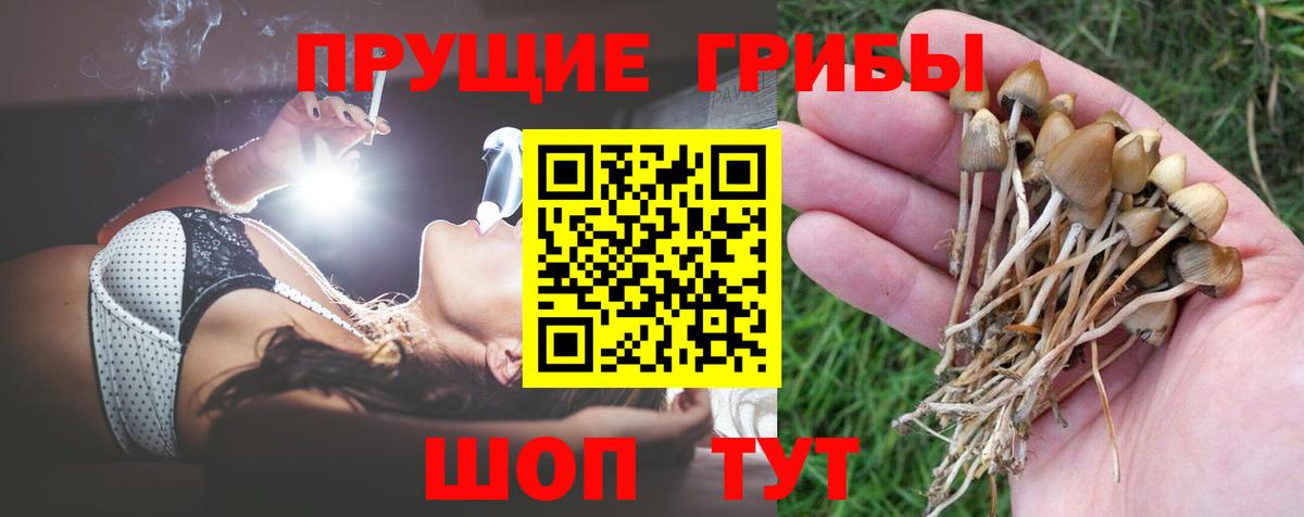Мценск  Псилоцибиновые грибы ЛСД  Вход с VPN 